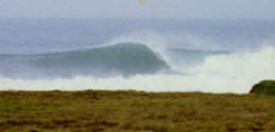 surf photos